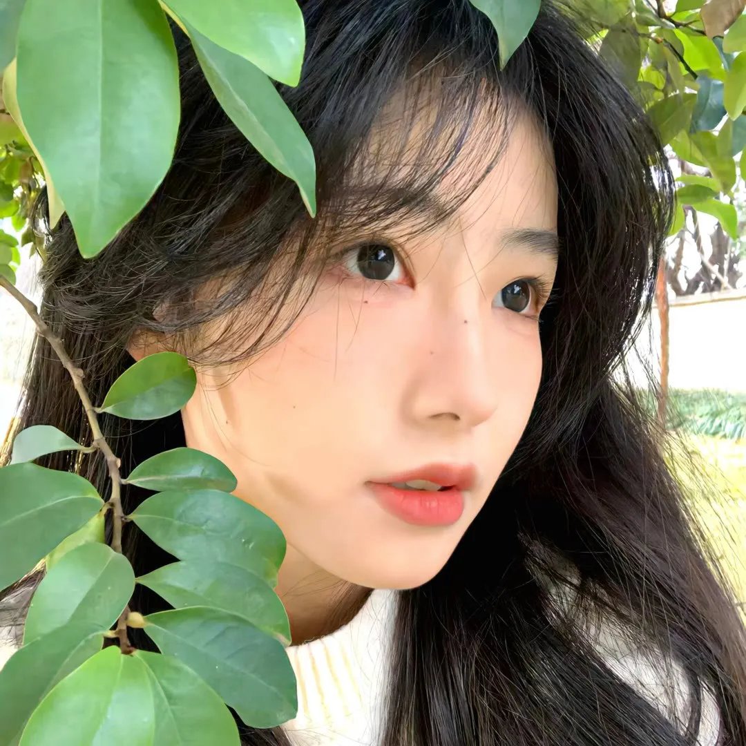 靓仔斗大鳄