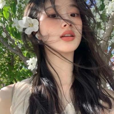 蒂科与鲨鱼